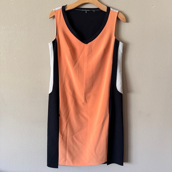 Elie Tahari Natalie Orange Spice Black Cream Colorblock Shift Dress $398 Size 4 - Picture 2 of 10